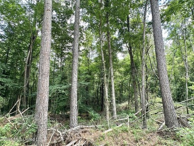 +/- 15 acre homesite or recreational property in Leake County - photo 3