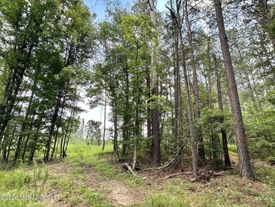 +/- 15 acre homesite or recreational property in Leake County - photo 6
