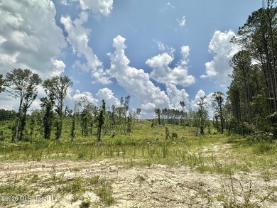 +/- 15 acre homesite or recreational property in Leake County - photo 8