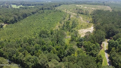 +/- 15 acre homesite or recreational property in Leake County - photo 10
