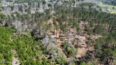 +/- 99 acres in the Shivers community in southwest Simpson - photo 13