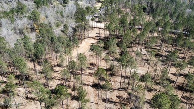 +/- 99 acres in the Shivers community in southwest Simpson - photo 14