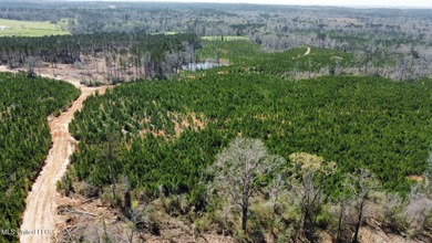 +/- 99 acres in the Shivers community in southwest Simpson - photo 15