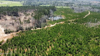 +/- 99 acres in the Shivers community in southwest Simpson - photo 16