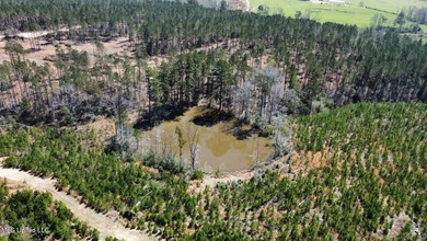 +/- 99 acres in the Shivers community in southwest Simpson - photo 17