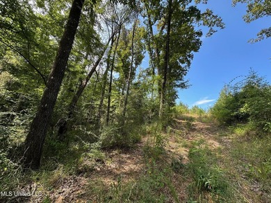 +/- 99 acres in the Shivers community in southwest Simpson - photo 22