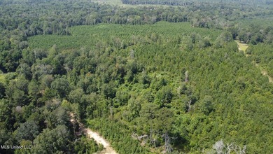 +/- 99 acres in the Shivers community in southwest Simpson - photo 25
