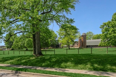 MOVE-IN READY! This beautifully designed executive townhome is - photo 5