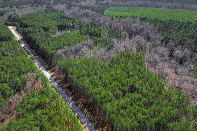 Wonderful opportunity to own a 2.03 acre lot in a serene and - photo 3