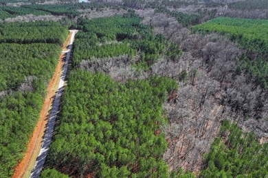 Wonderful opportunity to own a 2.03 acre lot in a serene and - photo 9