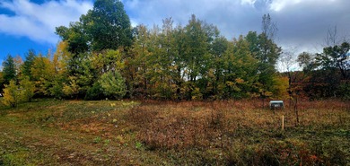 (private lake, pond, creek) Lot Under Contract in New Era Michigan