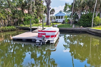 Timeless waterfront living meets coastal charm on Kings Bay - photo 1