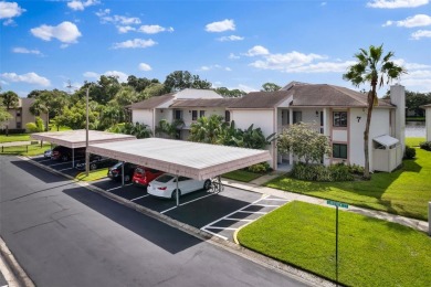 (private lake, pond, creek) Condo For Sale in Oldsmar Florida