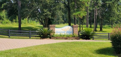 Lake Life offering city convenience! Seminole Ridge is located - photo 24
