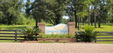 Lake Life offering city convenience! Seminole Ridge is located - photo 25