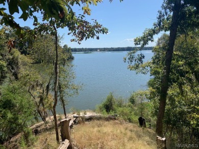 William Dannelly Reservoir / Lake Dannelly Acreage For Sale in Catherine Alabama
