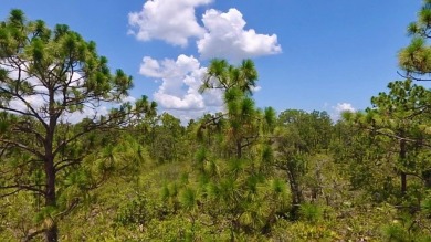 Lake Lot For Sale in Indian Lake Estates, Florida