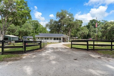 Tsala Apopka Chain of Lakes Home Sale Pending in Floral City Florida