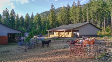 Lake Home For Sale in Noxon, Montana