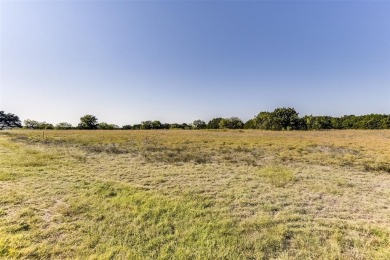 Lake Whitney Lot For Sale in Whitney Texas