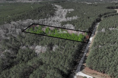Great price for almost 2 acre lot in a great subdivision at the - photo 4