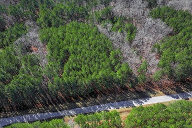 Great price for almost 2 acre lot in a great subdivision at the - photo 6