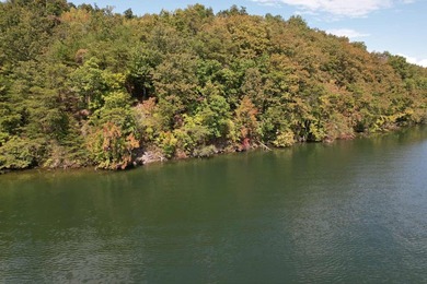 WATERFRONT!!! Over 2 acres on the main channel of the Tennessee - photo 2