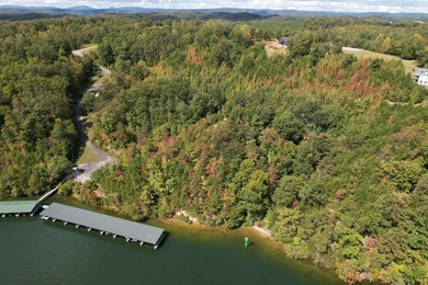WATERFRONT!!! Over 2 acres on the main channel of the Tennessee - photo 8