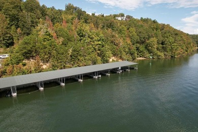 WATERFRONT!!! Over 2 acres on the main channel of the Tennessee - photo 10