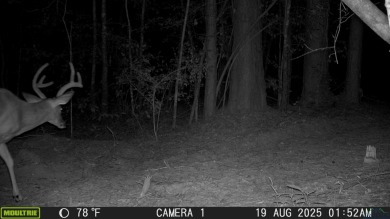 (private lake, pond, creek) Acreage For Sale in Jefferson Texas