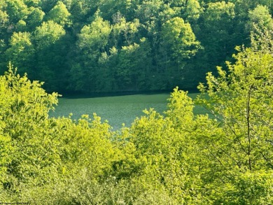Lake Acreage For Sale in Horner, West Virginia