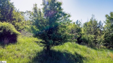Lake Lot For Sale in Anderson, South Carolina