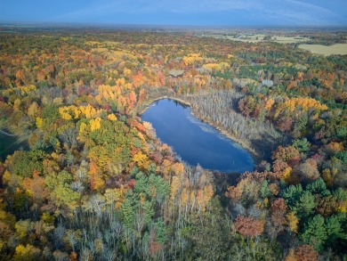 Lake Home For Sale in Remus, Michigan