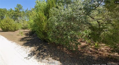 Looking for a nice lot for your mobile home??? Look no further!! - photo 2