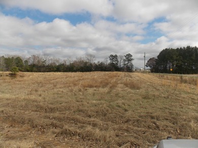 OVER 14 ACRES IN A GREAT LOCATION WITH A VERY NICE UPDATED BRICK - photo 3