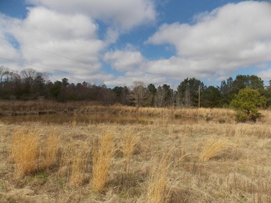 OVER 14 ACRES IN A GREAT LOCATION WITH A VERY NICE UPDATED BRICK - photo 5
