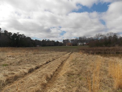 OVER 14 ACRES IN A GREAT LOCATION WITH A VERY NICE UPDATED BRICK - photo 6