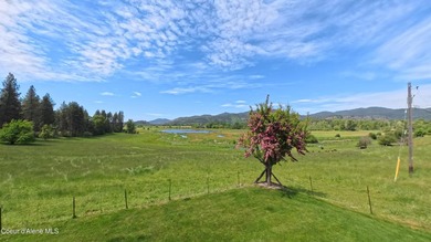 550 Acre Ranch in the heart of the Coeur d' Alene River Valley - photo 13
