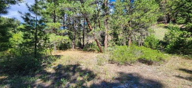 (private lake, pond, creek) Acreage For Sale in Cascade Montana