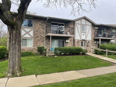 Lake Townhome/Townhouse For Sale in Willowbrook, Illinois