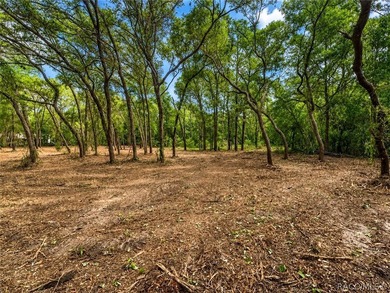 Professionally cleared and ready to build - this 0.61-acre - photo 1