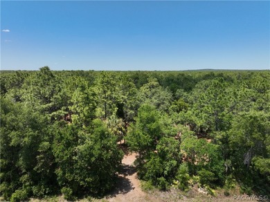 Professionally cleared and ready to build - this 0.61-acre - photo 3