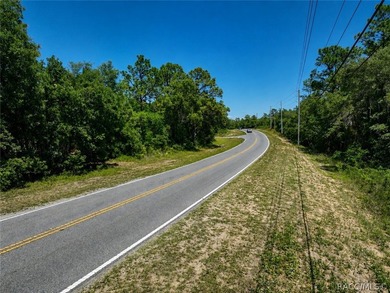 Professionally cleared and ready to build - this 0.61-acre - photo 6