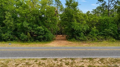 Professionally cleared and ready to build - this 0.61-acre - photo 7