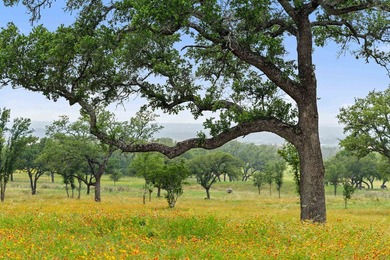 Welcome to 134 unrestricted acres of manicured perfection in the - photo 21