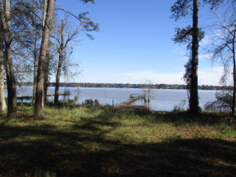Lake Blackshear Lot Sale Pending in Cobb Georgia
