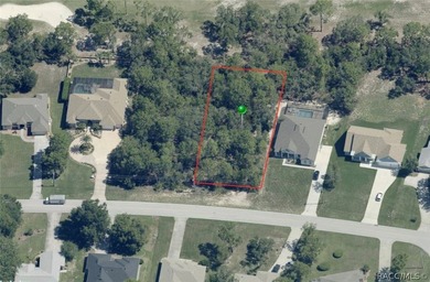 Build Your Dream Home in the Heart of Sugarmill Woods! Discover - photo 2