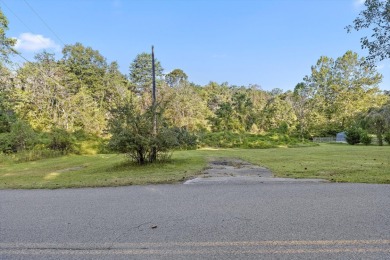 Lake Lot For Sale in Lookout Mountain, Georgia