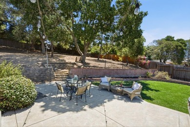 Charming Castro Valley home with Natural Beauty of a Back Yard - photo 7