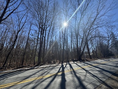 Set in a peaceful rural setting, this 1.6-acre wooded parcel - photo 4